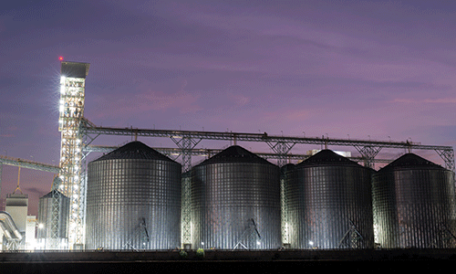 Grain silos illuminated at night at a bulk storage facility