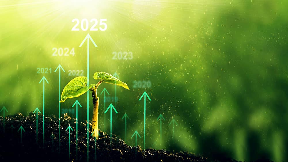Seedling with rising year markers representing farm trend data logged from electrostatic ultrasonic sensor readings.